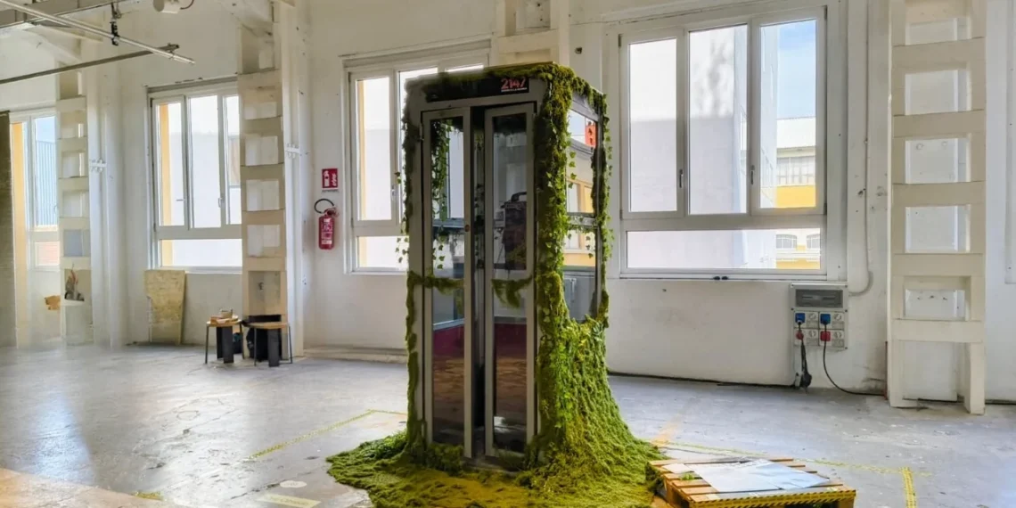Un téléphone public couvert de mousse devient la voix du futur en 2147 - plare. Un téléphone public couvert de mousse devient la voix du futur en 2147