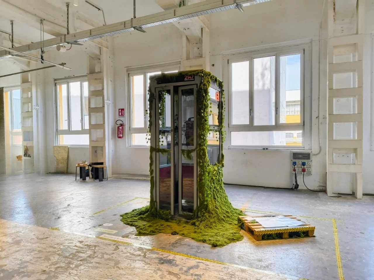 Un téléphone public couvert de mousse devient la voix du futur en 2147 - plare. Un téléphone public couvert de mousse devient la voix du futur en 2147