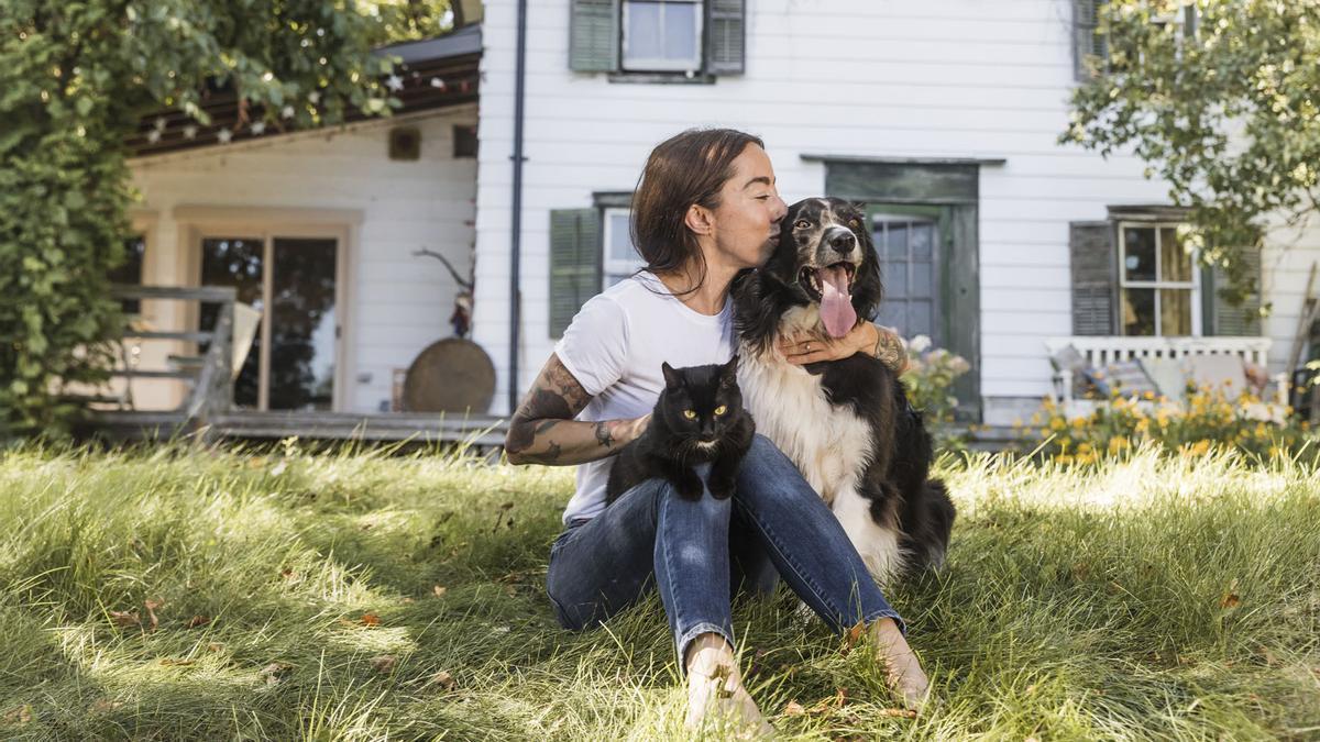 Analyse approfondie de la nourriture Acana Classic Red pour chiens : qualité, ingrédients et bénéfices en euros - plare. Analyse approfondie de la nourriture Acana Classic Red pour chiens : qualité, ingrédients et bénéfices en euros