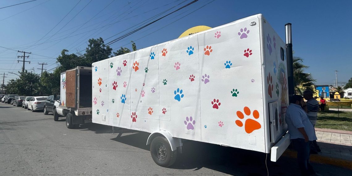 Campagnes de stérilisation à Ramos Arizpe : services diversifiés pour une meilleure santé animale - plare. Campagnes de stérilisation à Ramos Arizpe : services diversifiés pour une meilleure santé animale
