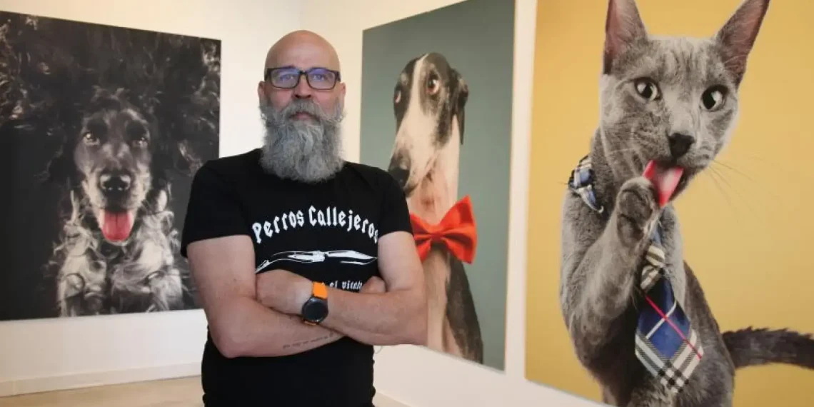 El drame des chiens abandonnés en Espagne : chiffres alarmants, sauvetages inspirants et espoir d&rsquo;adoptions réussies
