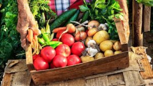 La viticultura ecológica se afianza en el Condado de Huelva y refuerza el vino sostenible