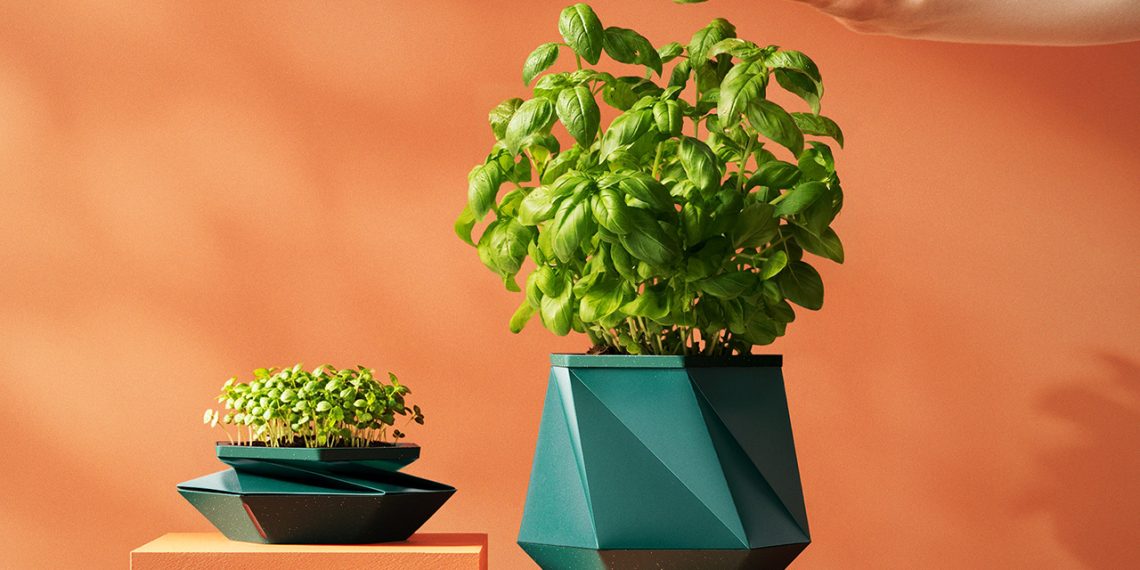 Ce pot en origami résout enfin les 2 problèmes qui tuent le plus les plantes d’intérieur - plare. Pot d’origami auto-arrosant extensible : la solution pour rempoter moins et accompagner la croissance des plantes