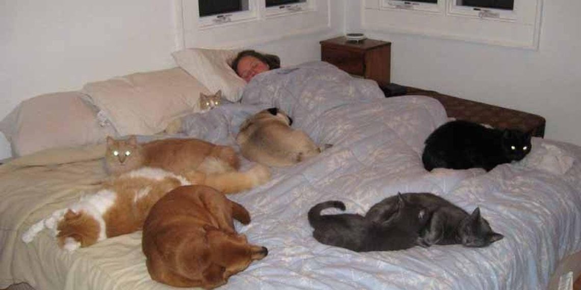 Hygiène du sommeil : partager son lit avec son chien, une bonne idée ?