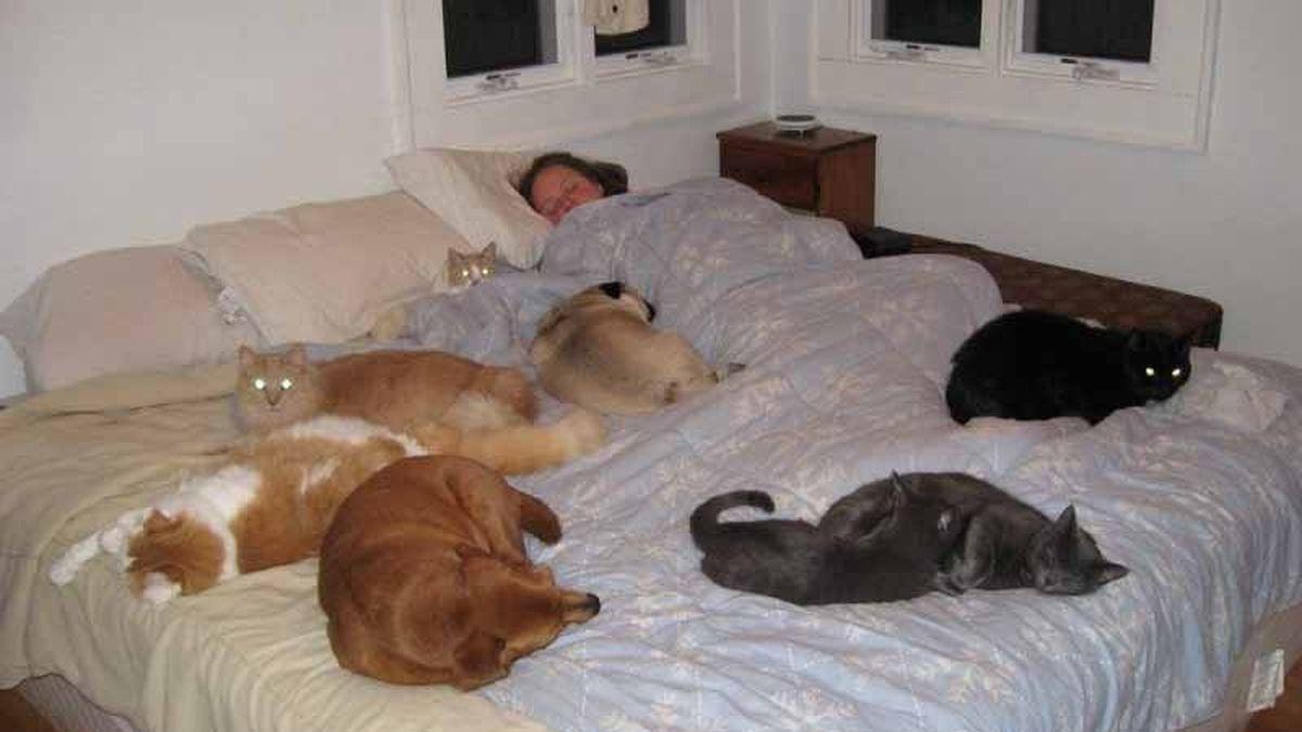 Hygiène du sommeil : partager son lit avec son chien, une bonne idée ?