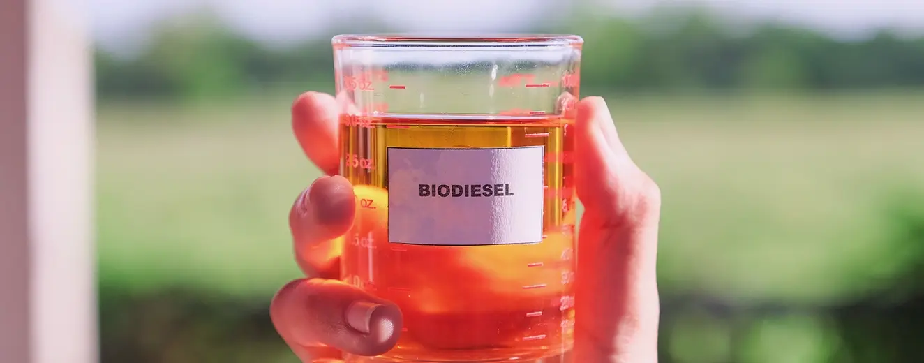 Indonesia accélère vers l’indépendance énergétique avec le mandat biodiesel B50 et les biocarburants