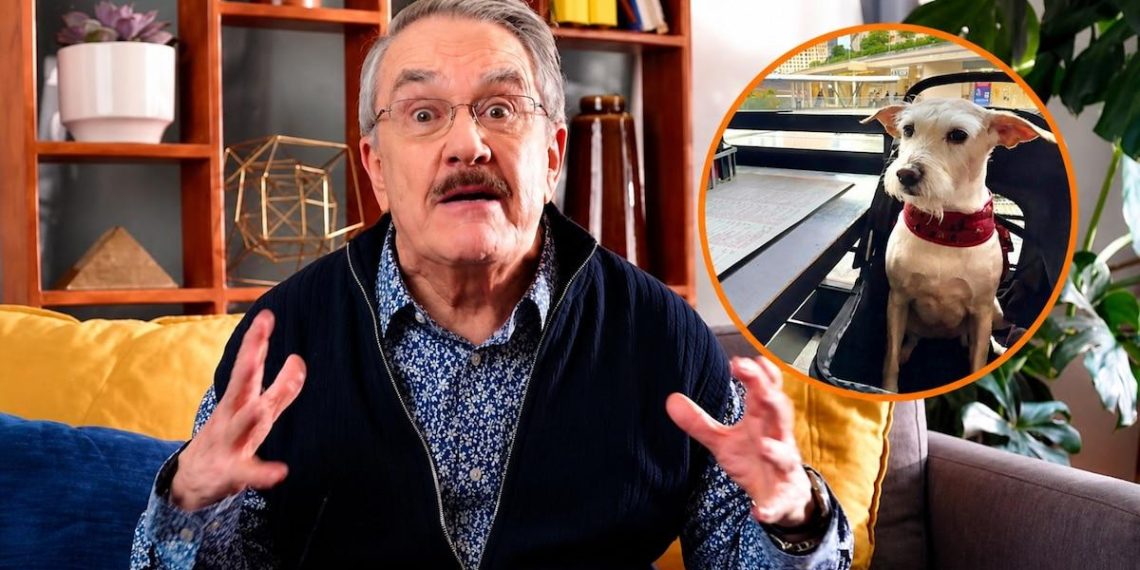 Pedro Sola provoque une controverse avec ses propos choc sur l'empoisonnement des chiens - plare. Pedro Sola provoque une controverse avec ses propos choc sur l’empoisonnement des chiens