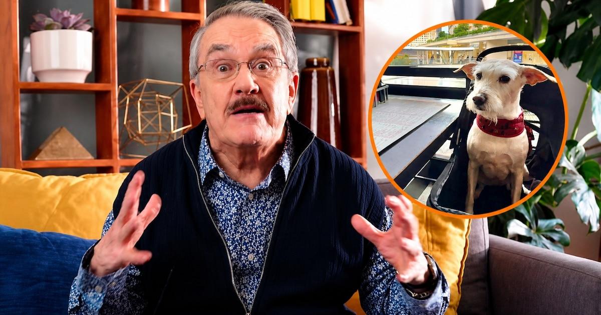 Pedro Sola provoque une controverse avec ses propos choc sur l'empoisonnement des chiens - plare. Pedro Sola provoque une controverse avec ses propos choc sur l’empoisonnement des chiens