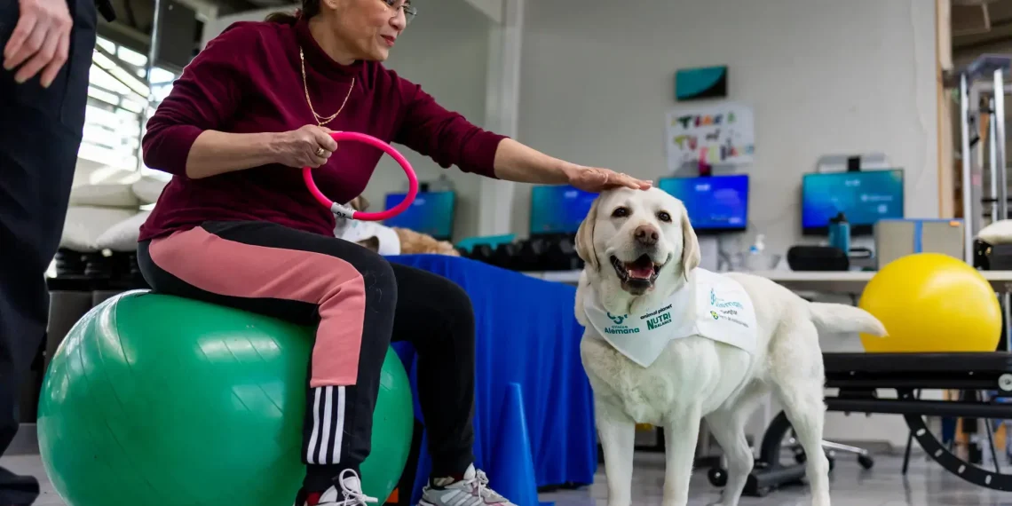 Chien de thérapie : une solution efficace contre la douleur chronique en santé.
