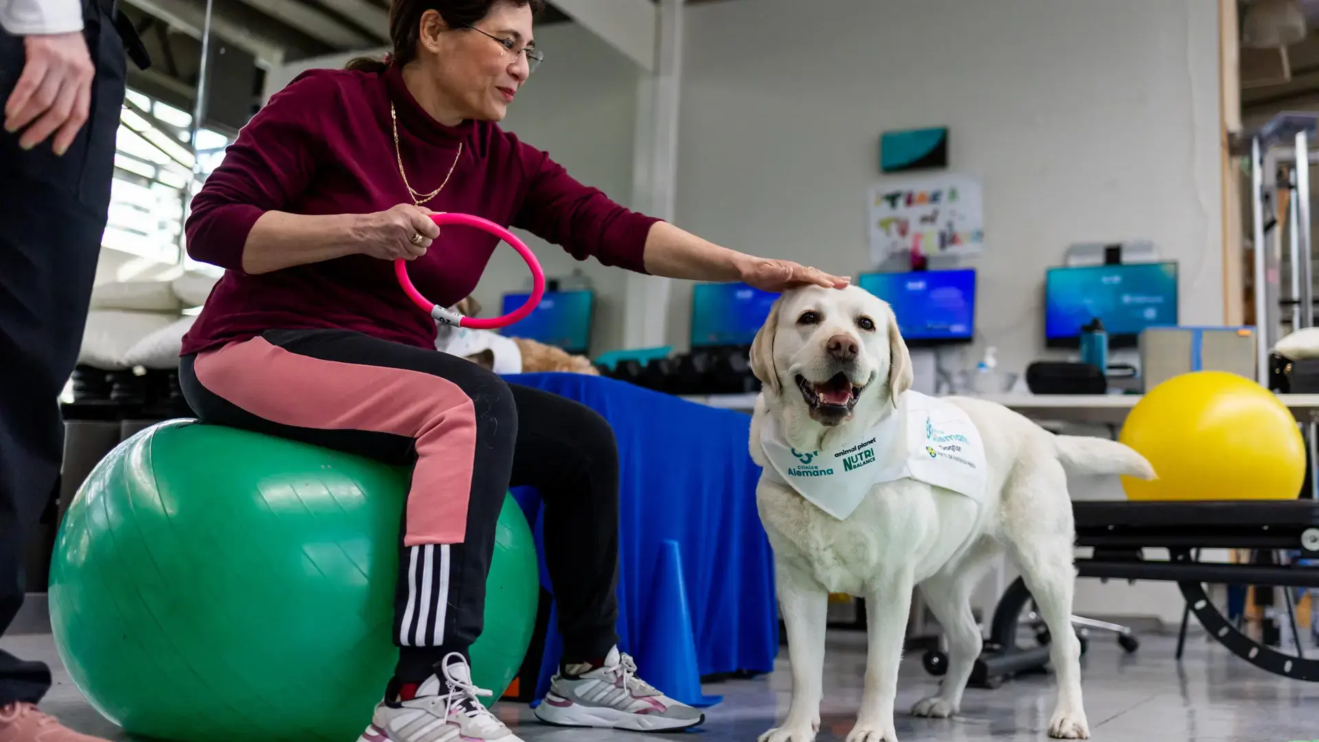 Chien de thérapie : une solution efficace contre la douleur chronique en santé.