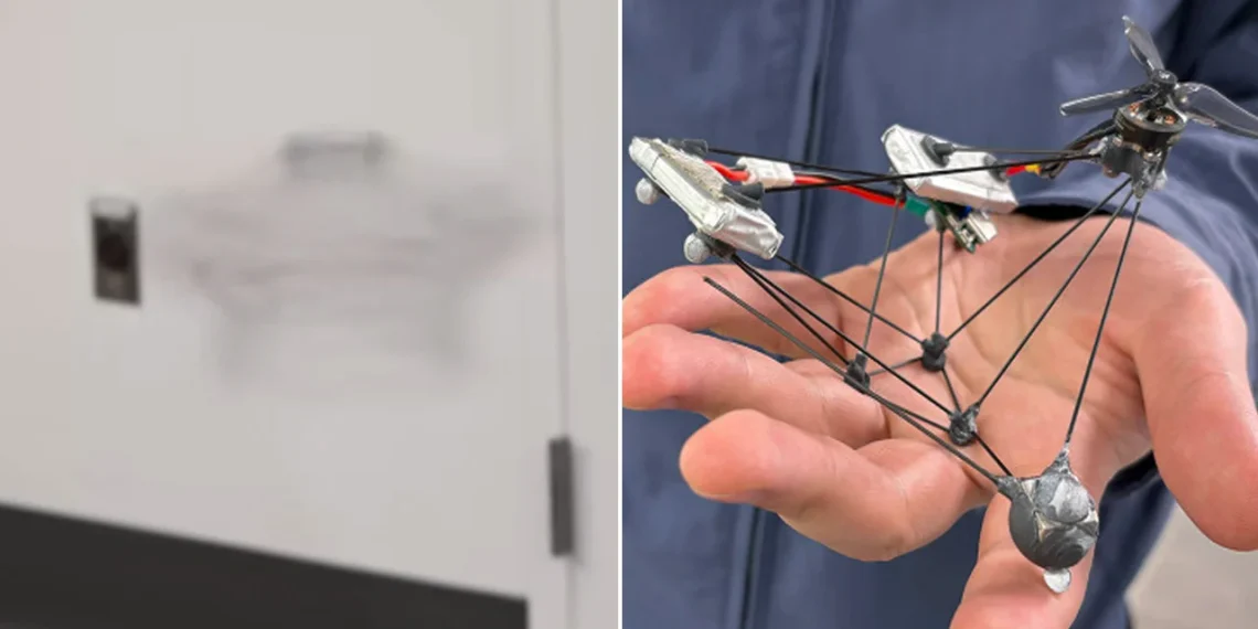 Ce mini-drone furtif se rapproche de l’invisibilité en vol derrière les lignes ennemies - plare. Ce mini-drone furtif se rapproche de l’invisibilité en vol derrière les lignes ennemies