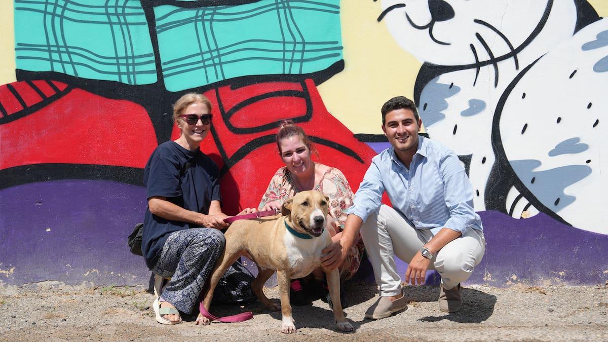 Pumba trouve enfin un foyer après cinq ans au refuge de Sa Coma : une histoire émouvante de sauvetage animal - plare. Pumba trouve enfin un foyer après cinq ans au refuge de Sa Coma : une histoire émouvante de sauvetage animal