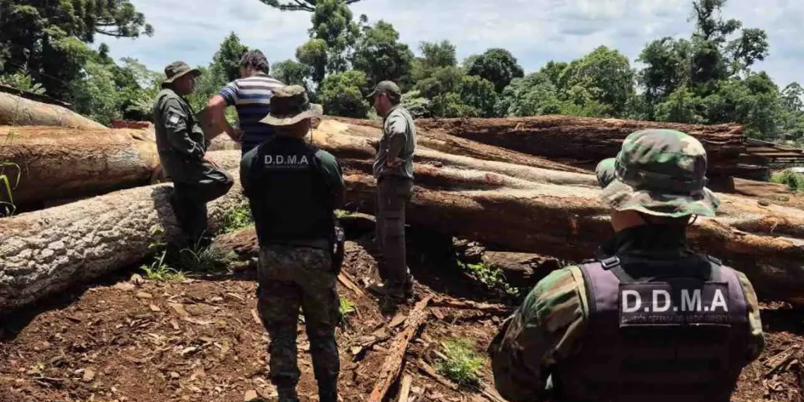 Misiones renforce le contrôle environnemental avec le nouveau Registro de Infractores Ambientales