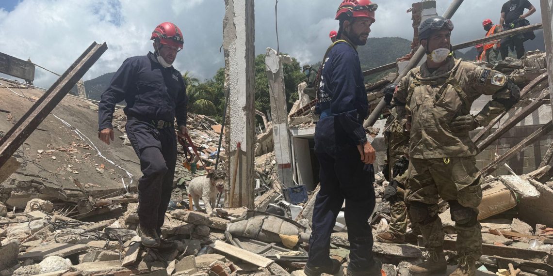 Perros de rescate españoles: la esperanza canina tras los terremotos en Venezuela - plare. Perros de rescate españoles: la esperanza canina tras los terremotos en Venezuela