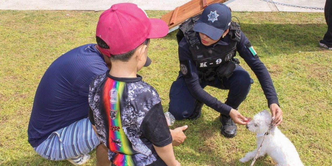 Un succès éclatant pour les familles lors des journées d&rsquo;éducation canine.