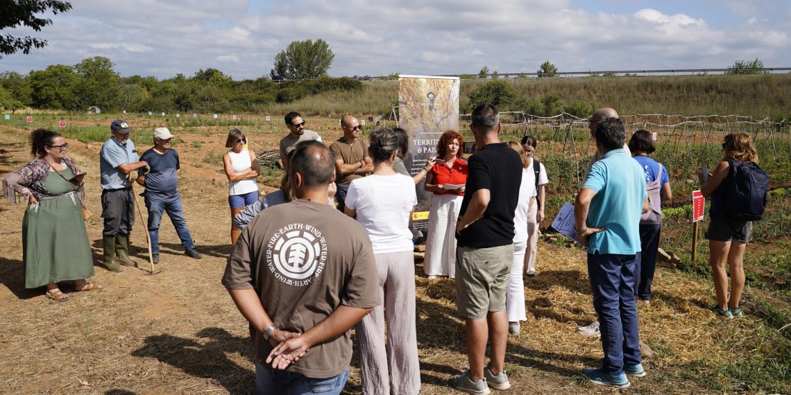 Huerto colectivo de agricultura regenerativa en El Bierzo para 65 personas : potager partagé écologique et expérience durable en euros - plare. Huerto colectivo de agricultura regenerativa en El Bierzo para 65 personas : potager partagé écologique et expérience durable en euros