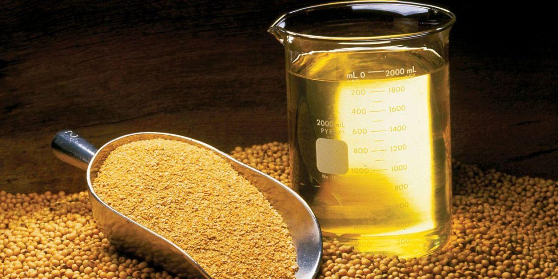 Europa et l’Argentine relancent l’avenir du biodiesel entre blocage parlementaire et négociation technique - plare. Europa et l’Argentine relancent l’avenir du biodiesel entre blocage parlementaire et négociation technique