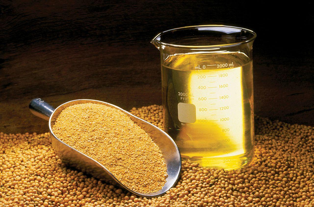 Europa et l’Argentine relancent l’avenir du biodiesel entre blocage parlementaire et négociation technique