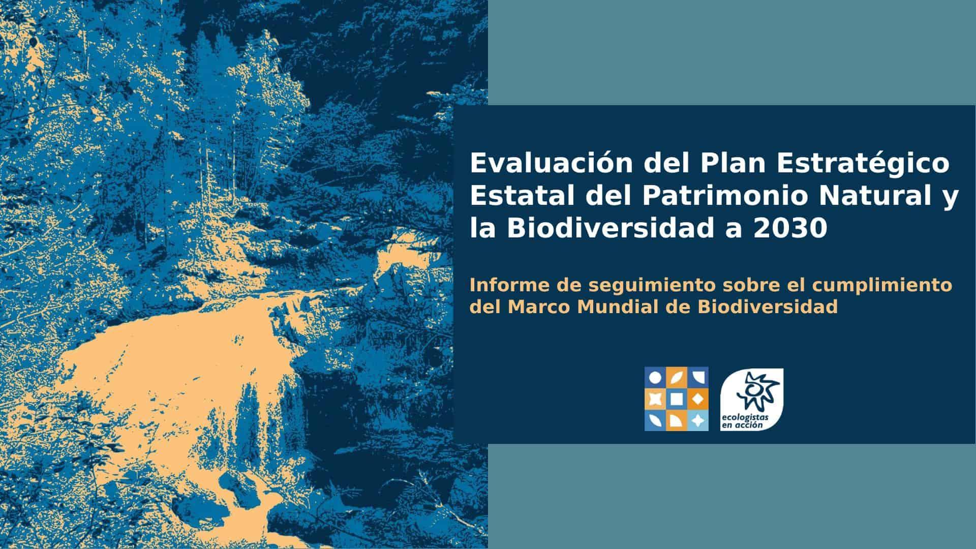 España face au test de la COP17 : avancées et défis pour la protection de la biodiversité