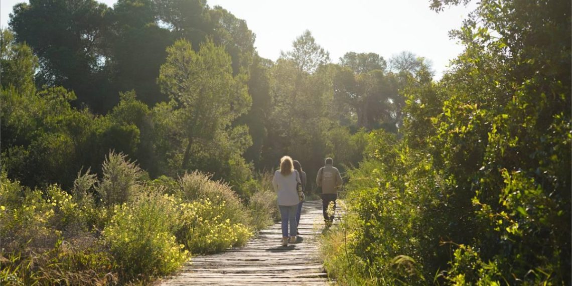 Biodiversidad en España: proyectos urbanos, financiación y políticas esenciales para un futuro más verde - plare. Biodiversidad en España: proyectos urbanos, financiación y políticas esenciales para un futuro más verde