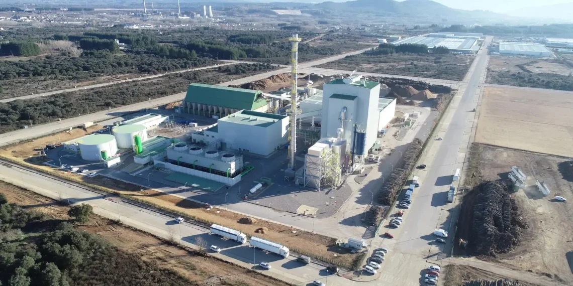 Forestalia obtient le feu vert pour sa centrale de biomasse à Zuera, un projet clé pour l’énergie renouvelable - plare. Forestalia obtient le feu vert pour sa centrale de biomasse à Zuera, un projet clé pour l’énergie renouvelable