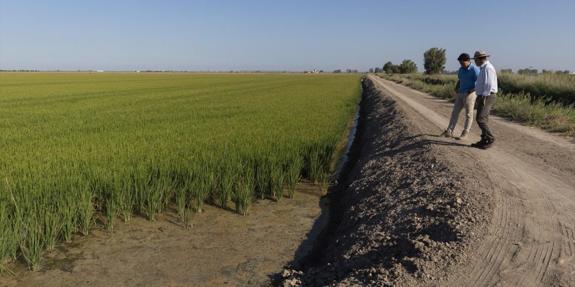 Contaminación del agua en España: la UE endurece su normativa mientras cierran fuentes por riesgo sanitario - plare. Contaminación del agua en España: la UE endurece su normativa mientras cierran fuentes por riesgo sanitario