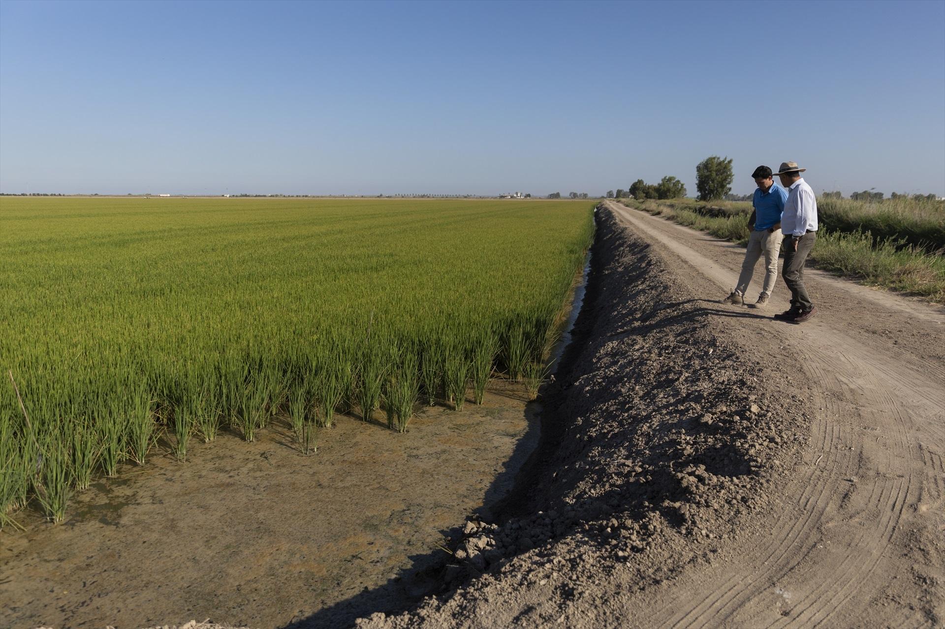 Contaminación del agua en España: la UE endurece su normativa mientras cierran fuentes por riesgo sanitario