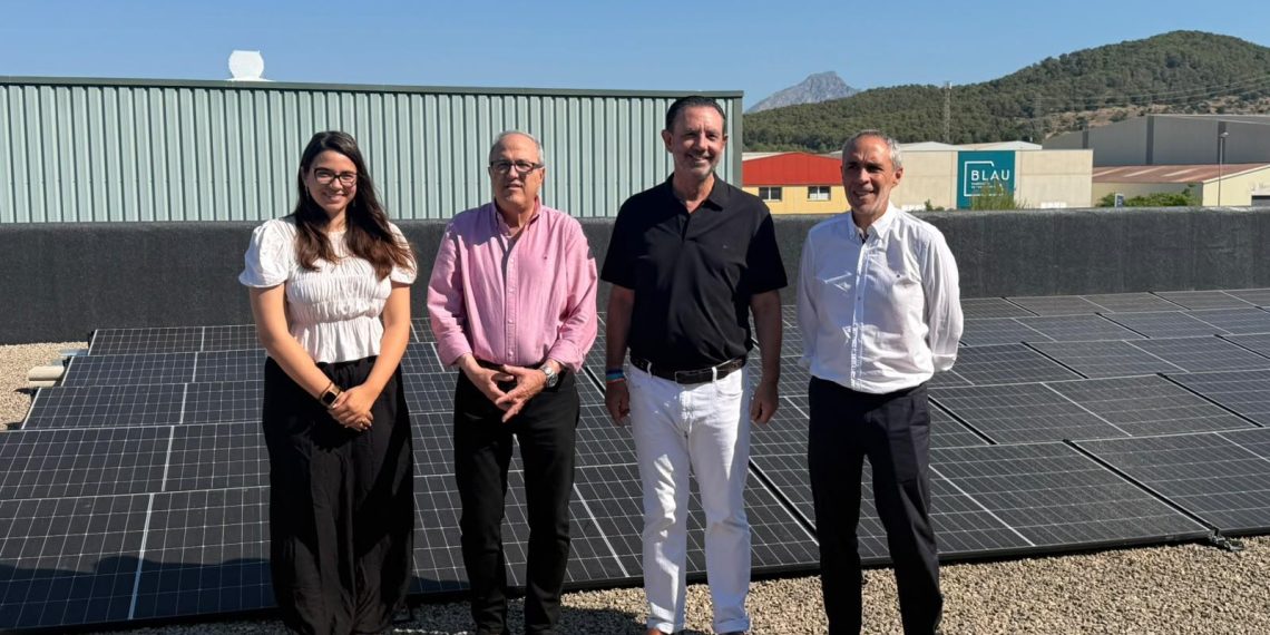 La energía solar fotovoltaica bate récords con más circularidad e industrialización - plare. La energía solar fotovoltaica bate récords con más circularidad e industrialización