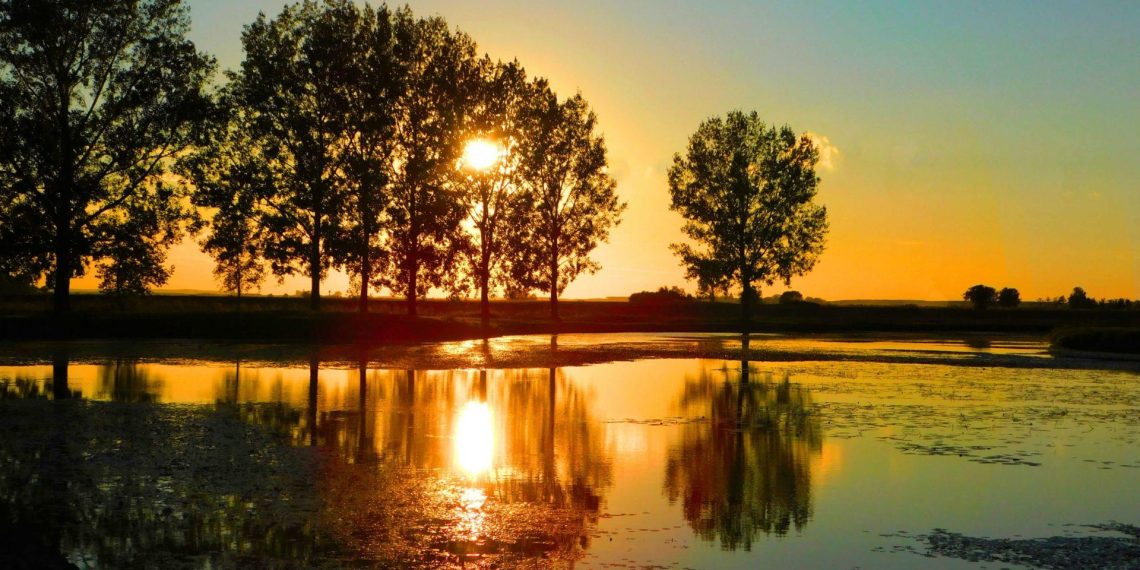 Guía completa de reportajes y documentales sobre el medio ambiente: claves, ejemplos y tendencias SEO - plare. Guía completa de reportajes y documentales sobre el medio ambiente: claves, ejemplos y tendencias SEO