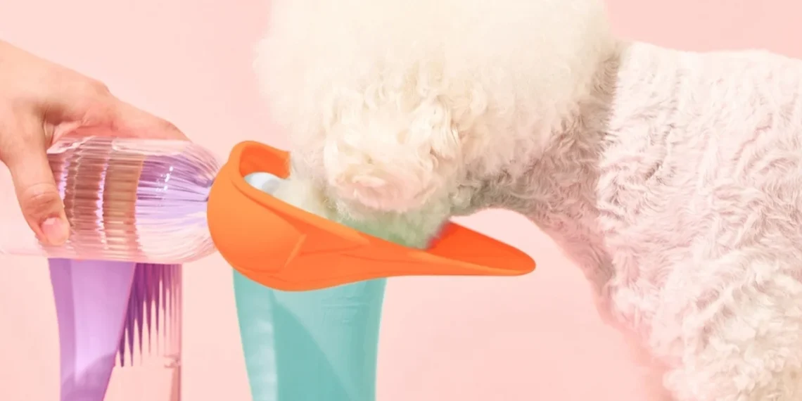 Le bouchon à 8 € pour animaux qui change tout au quotidien