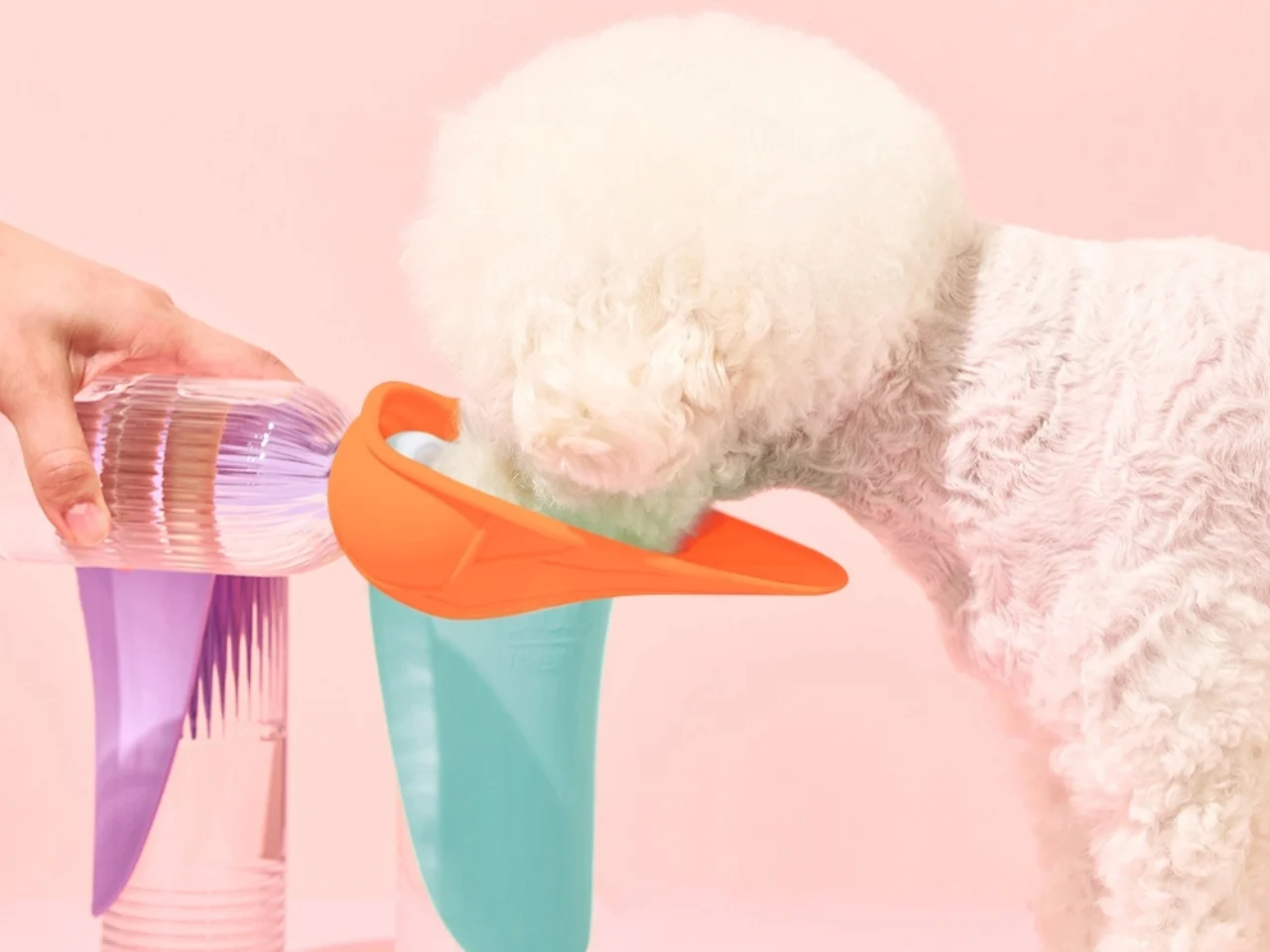 Le bouchon à 8 € pour animaux qui change tout au quotidien