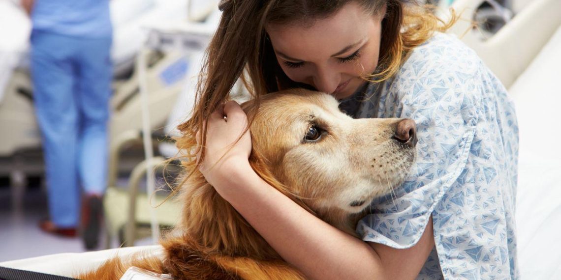 Terapia asistida con perros: avances científicos y nuevos programas en la sanidad española
