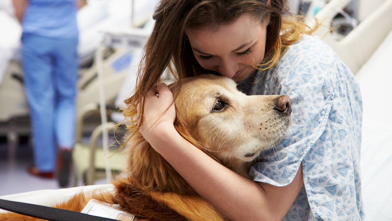 Terapia asistida con perros: avances científicos y nuevos programas en la sanidad española