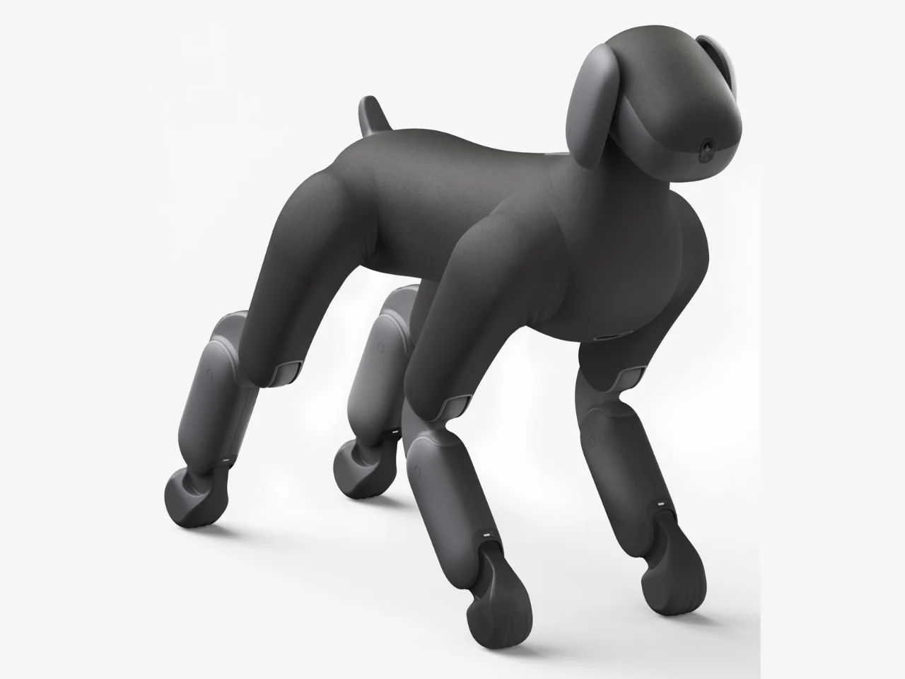 Un robot-chien façon Lassie qui veut vous faire sortir ?